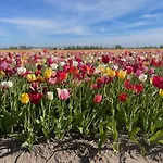 De Sas In Hébergement de vacances