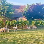 De Sas In Feriehus
