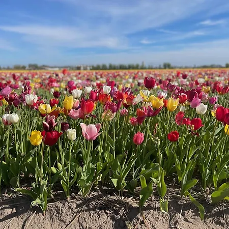 De Sas In Prázdninový dům