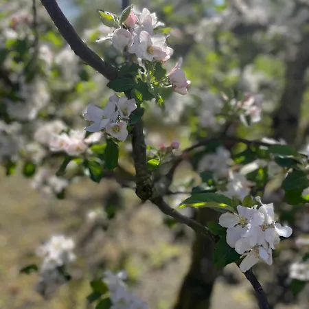 Prázdninový dům De Sas In *