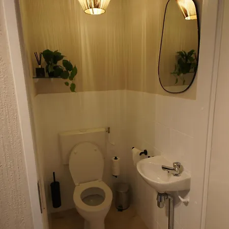 Holiday home De Sas In Lisse