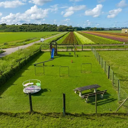 De Sas In * Lisse
