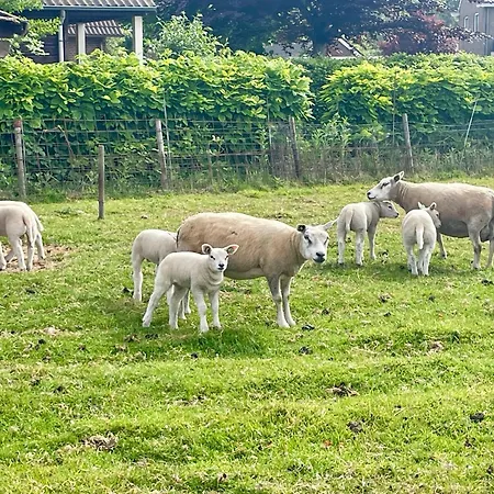 De Sas In Prázdninový dům Lisse