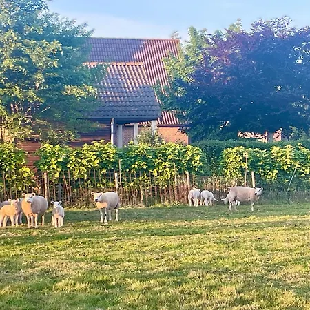 De Sas In Holiday home