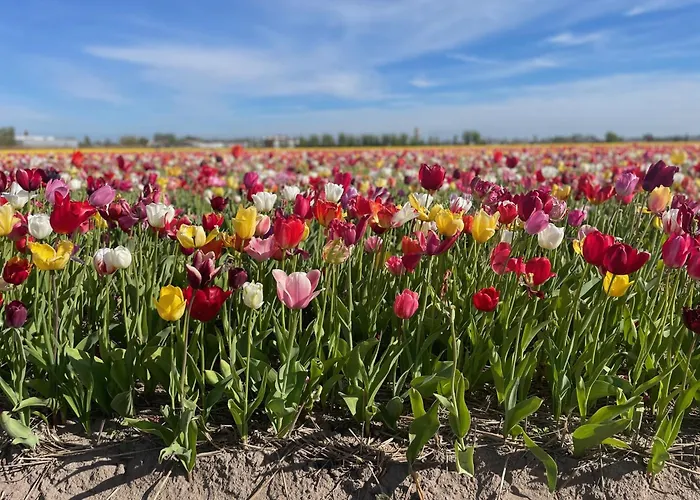 De Sas In Ferienhaus