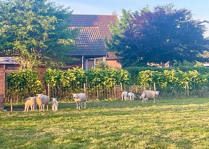 De Sas In Vakantiehuis