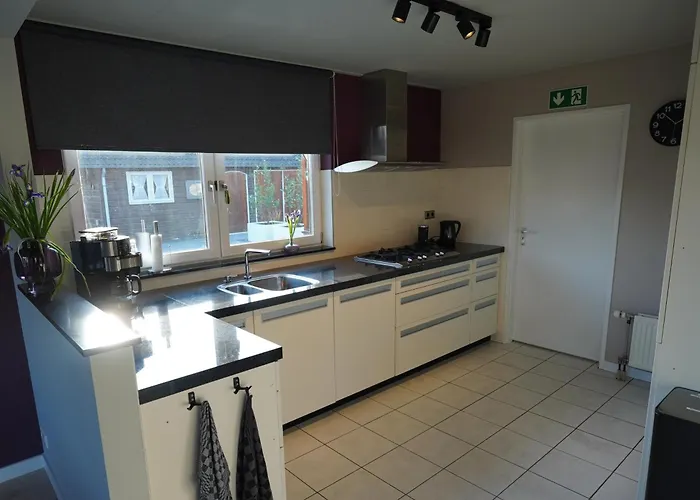 De Sas In Nyaraló *