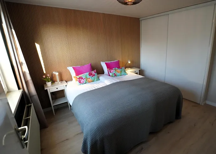 De Sas In Nyaraló Lisse